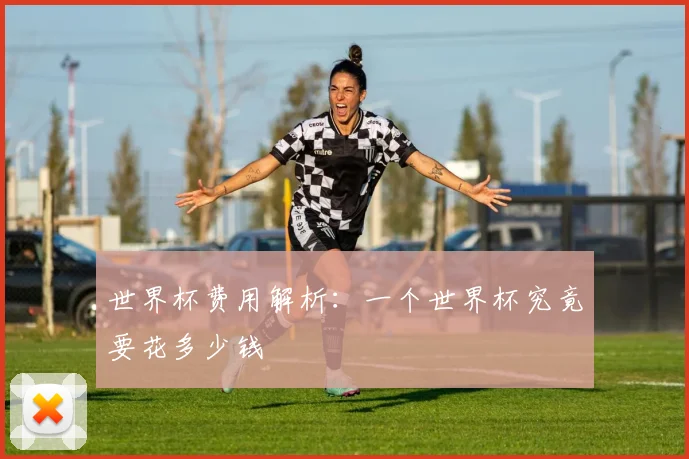世界杯费用解析:一个世界杯究竟要花多少钱