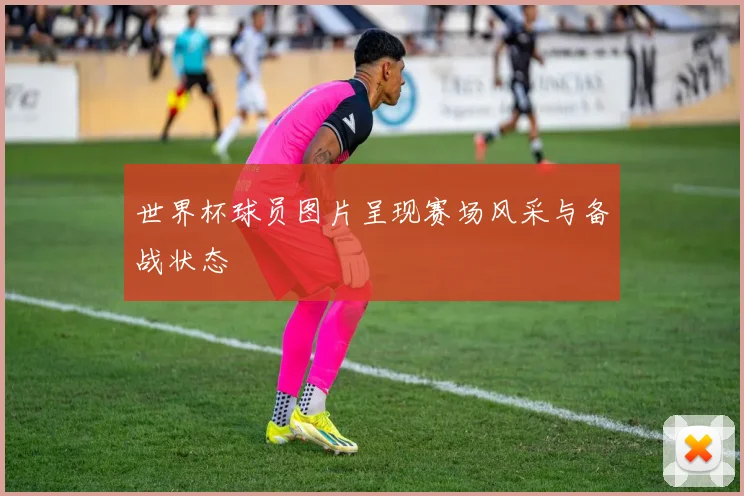 世界杯球员图片呈现赛场风采与备战状态