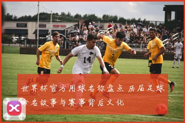 世界杯官方用球名称盘点 历届足球命名故事与赛事背后文化
