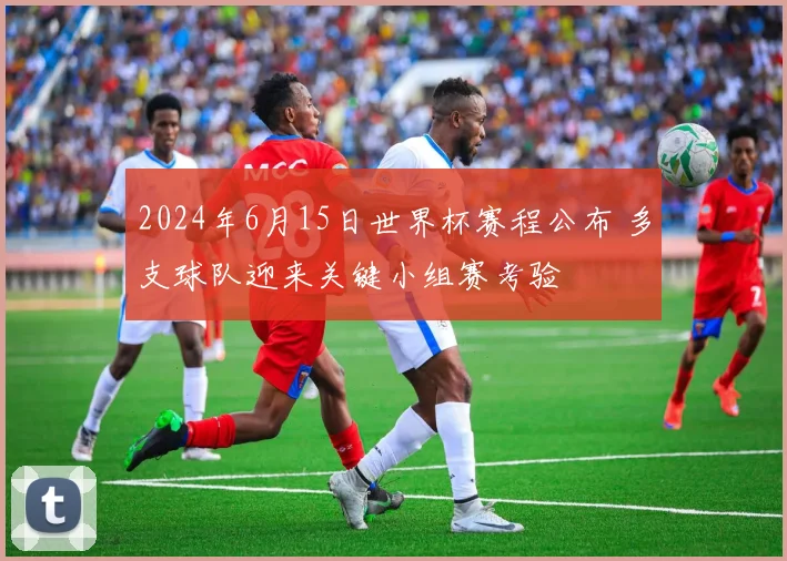 2024年6月15日世界杯赛程公布 多支球队迎来关键小组赛考验