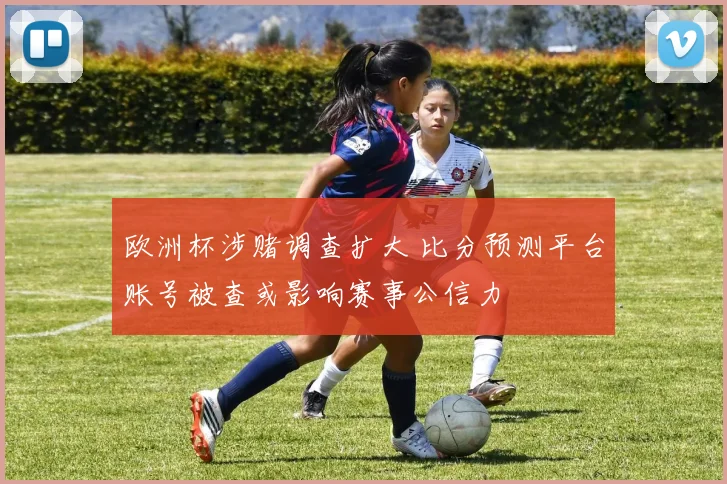 欧洲杯涉赌调查扩大 比分预测平台账号被查或影响赛事公信力