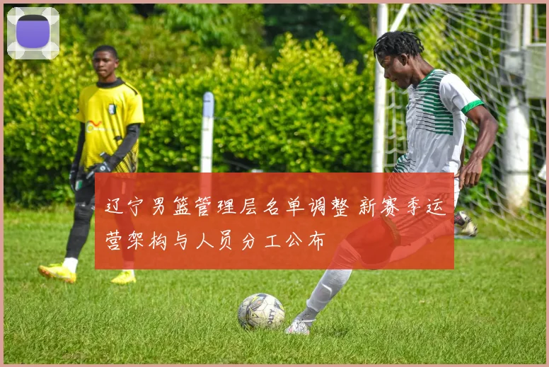 辽宁男篮管理层名单调整 新赛季运营架构与人员分工公布